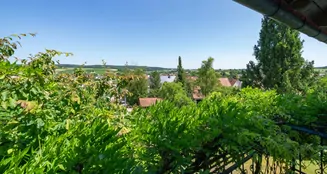 von_poll_real_estate_property_25248056_image_14