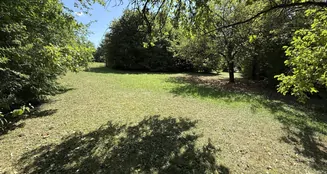 von_poll_real_estate_property_25248062_image_20