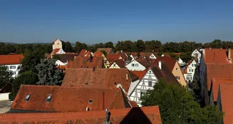 von_poll_real_estate_property_25248075_image_9