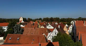 von_poll_real_estate_property_25248075_image_9