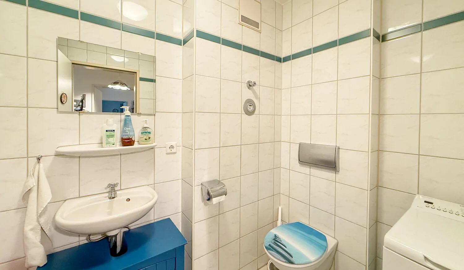 Gäste-WC mit Waschmaschinenanschluss