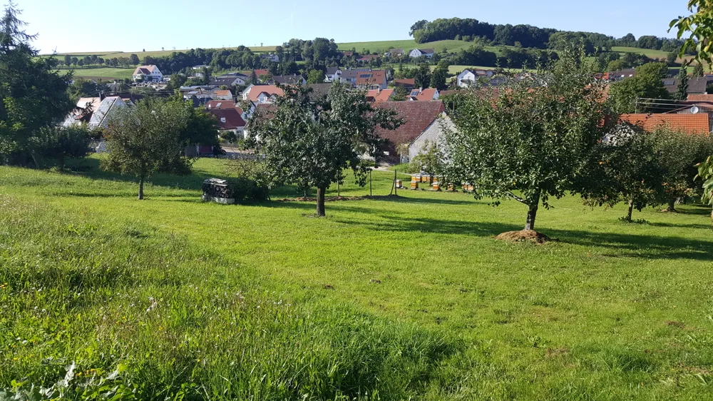 Bauen ohne Zwang! Herrliches Hanggrundstück in idyllischer Lage nahe Donauwörth