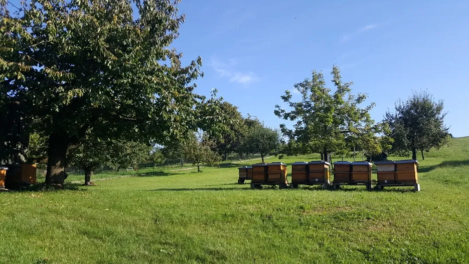 Bauen ohne Zwang! Herrliches Hanggrundstück in idyllischer Lage nahe Donauwörth