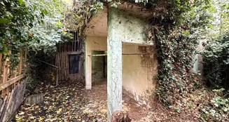 von_poll_real_estate_property_25248067_image_13