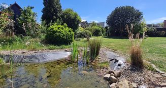 von_poll_real_estate_property_25240010_image_13