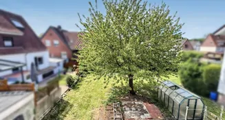 von_poll_real_estate_property_25240013_image_6