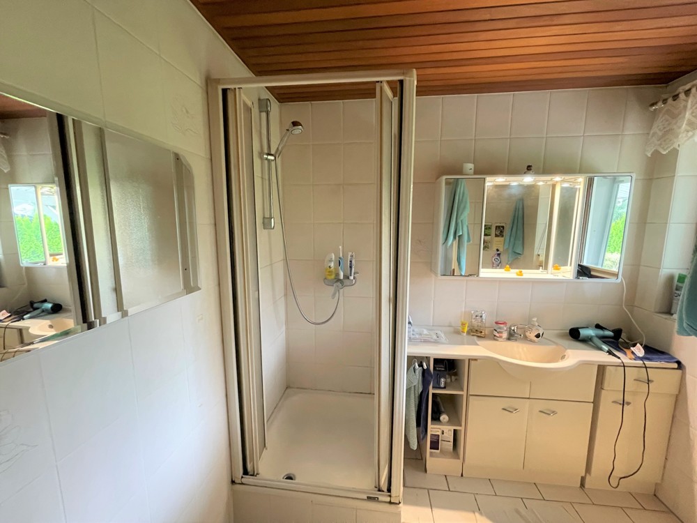Gäste-WC mit Dusche