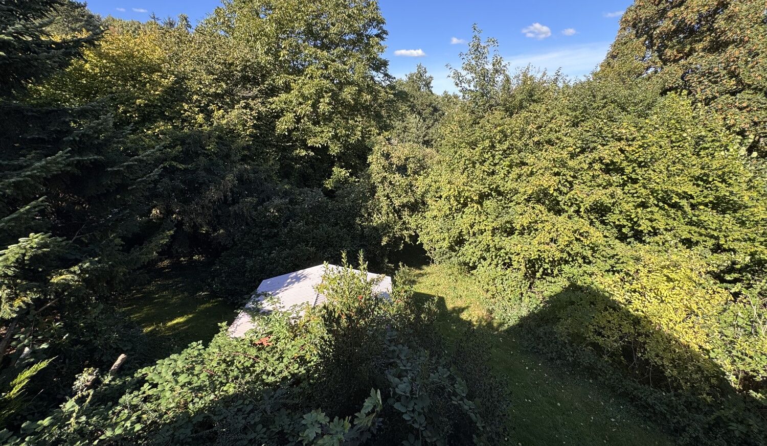 Ausblick
