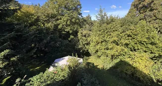 von_poll_real_estate_property_25240024_image_13