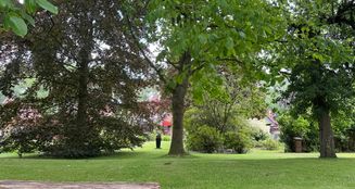 von_poll_real_estate_property_25240016_image_11