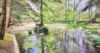 von_poll_real_estate_property_25240006_image_2