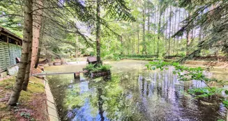 von_poll_real_estate_property_25240006_image_2