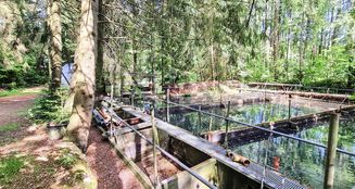 von_poll_real_estate_property_25240006_image_3