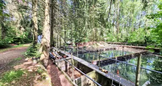 von_poll_real_estate_property_25240006_image_3