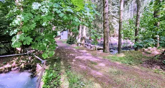 von_poll_real_estate_property_25240006_image_6