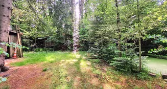 von_poll_real_estate_property_25240006_image_7