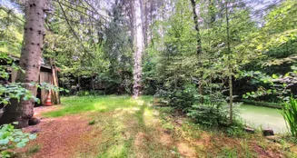 von_poll_real_estate_property_25240006_image_7