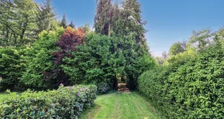 von_poll_real_estate_property_25240006_image_1