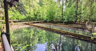 von_poll_real_estate_property_25240006_image_4