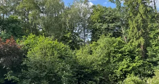 von_poll_real_estate_property_25240014_image_11