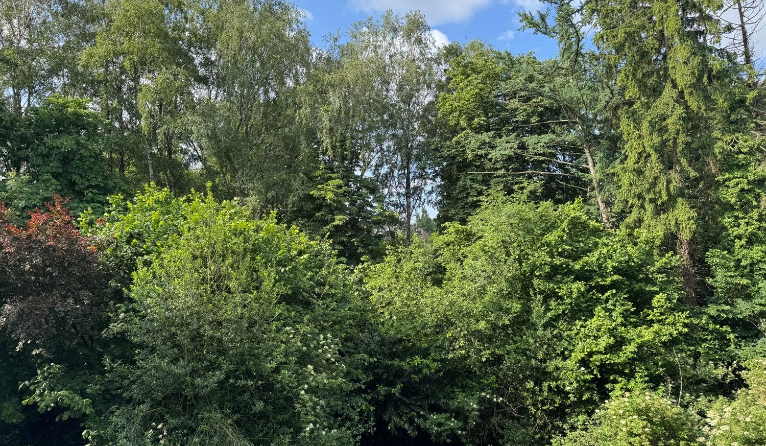 Ausblick