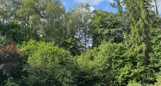 von_poll_real_estate_property_25240014_image_11