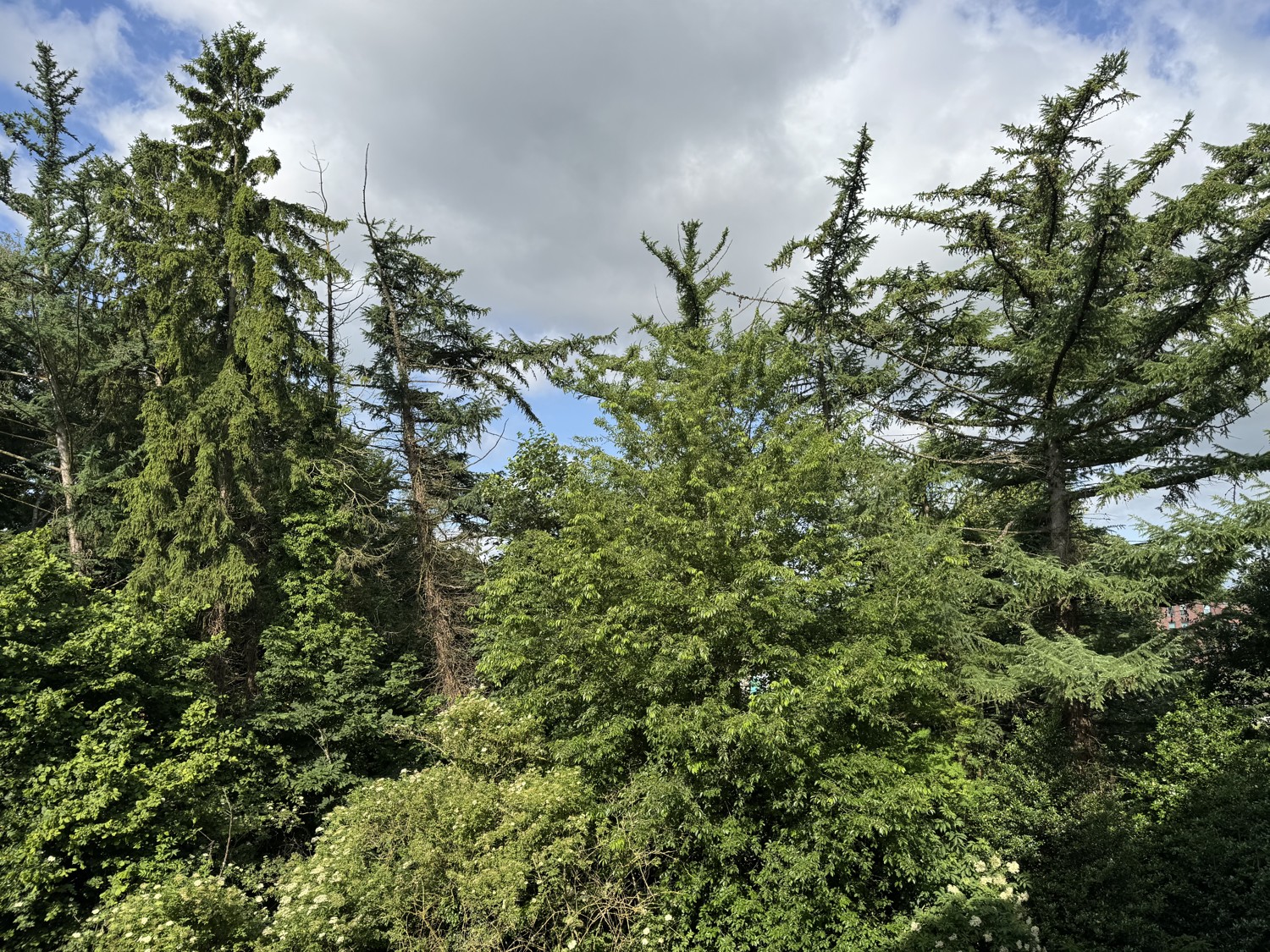 Ausblick