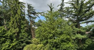 von_poll_real_estate_property_25240014_image_9