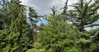 von_poll_real_estate_property_25240014_image_9