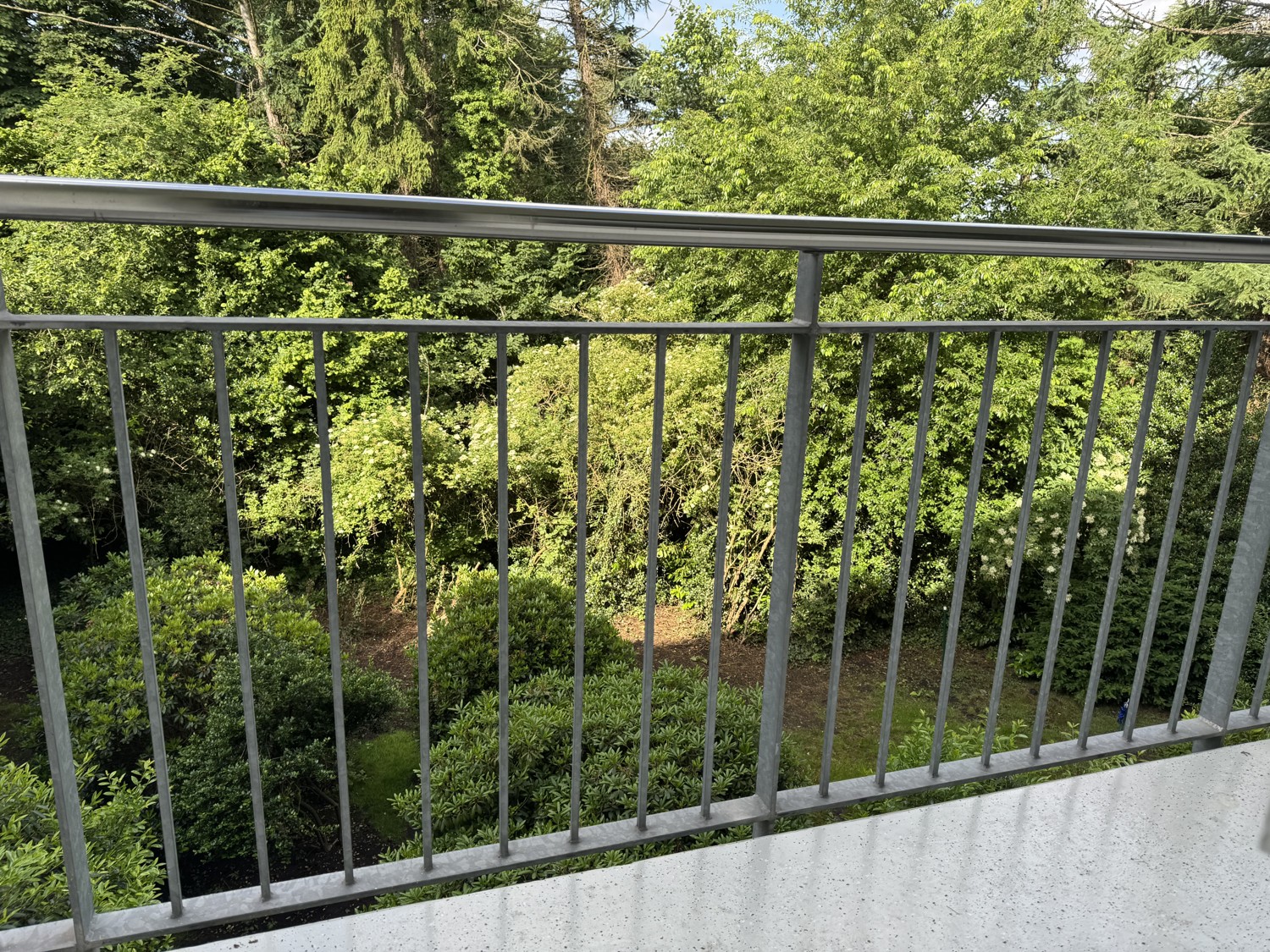 Ausblick