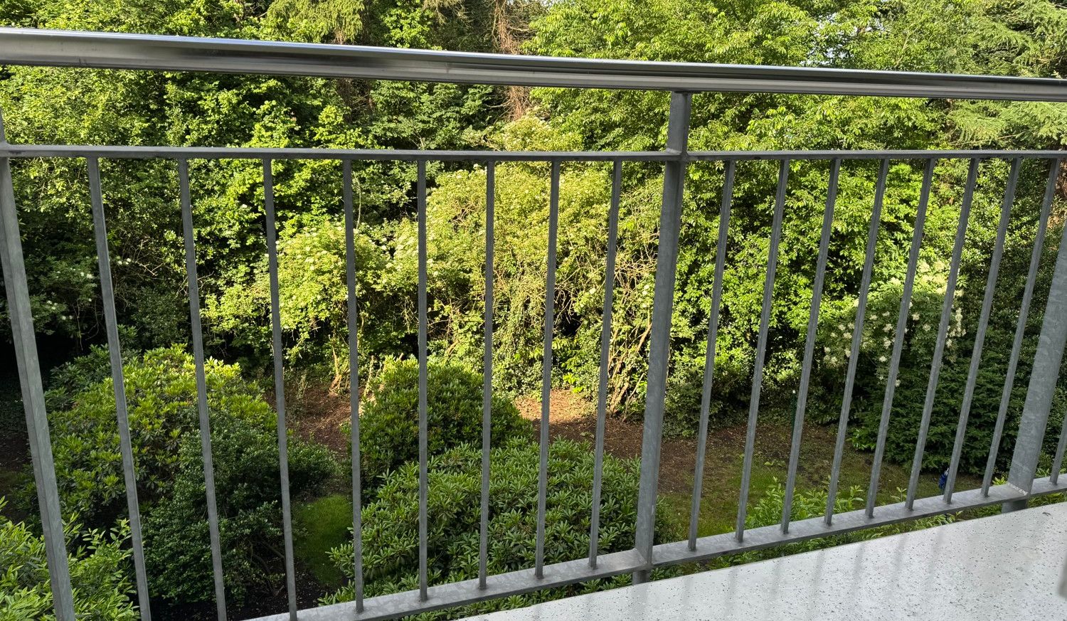 Ausblick