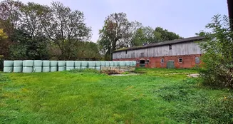 von_poll_real_estate_property_25240026_image_21