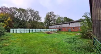 von_poll_real_estate_property_25240026_image_21