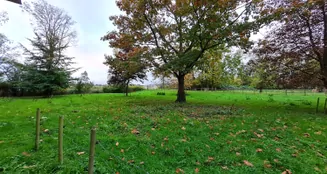 von_poll_real_estate_property_25240026_image_17