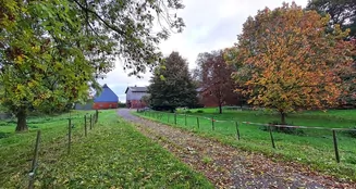 von_poll_real_estate_property_25240026_image_26