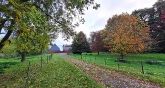 von_poll_real_estate_property_25240026_image_26