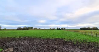 von_poll_real_estate_property_25240026_image_24