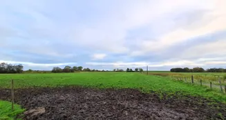 von_poll_real_estate_property_25240026_image_24