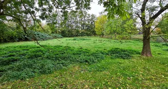 von_poll_real_estate_property_25240026_image_25