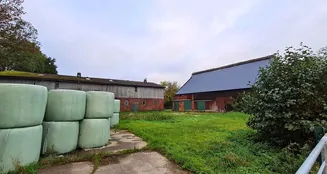 von_poll_real_estate_property_25240026_image_22