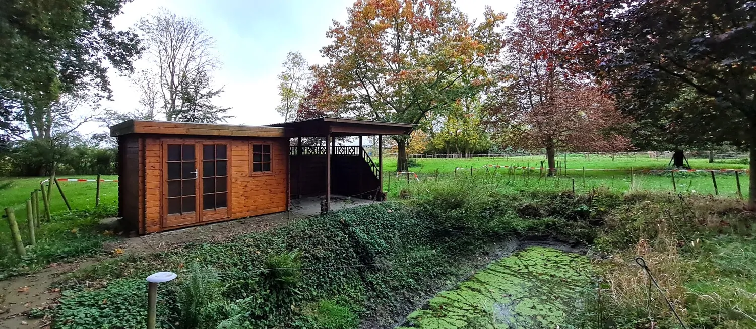 Gartenhaus & Teich