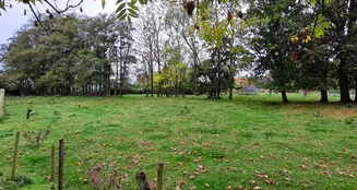 von_poll_real_estate_property_25240026_image_18