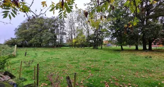 von_poll_real_estate_property_25240026_image_18