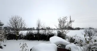 von_poll_real_estate_property_26240003_image_23