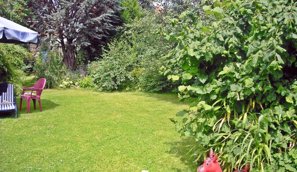 Garten (2)