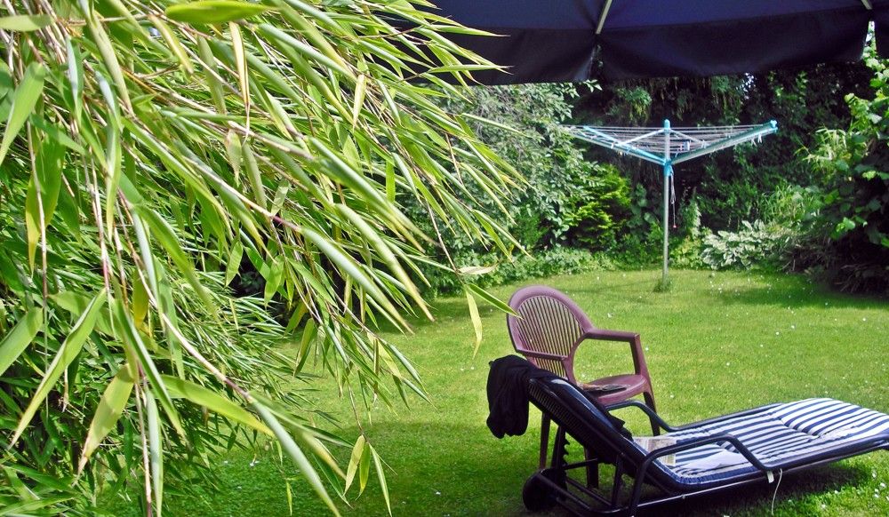 Garten (9)