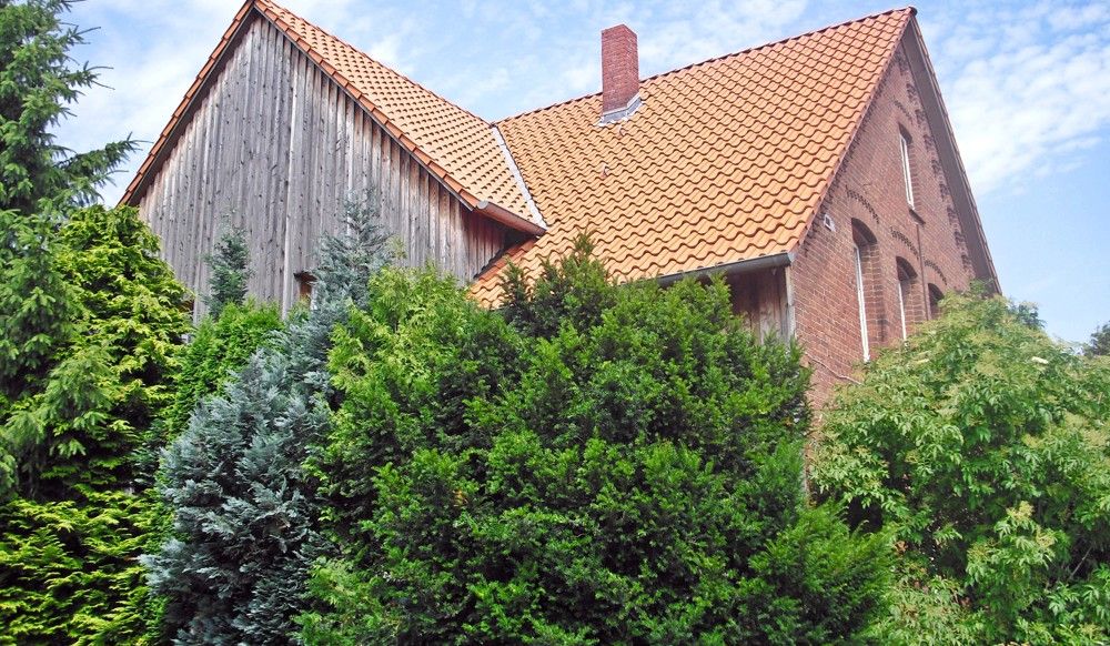 Garten (8)