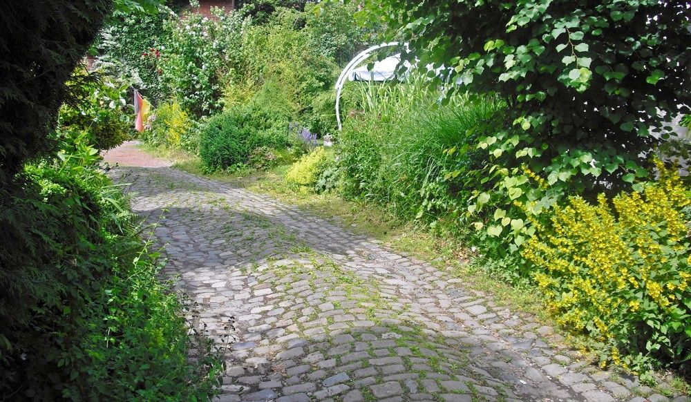 Garten (7)