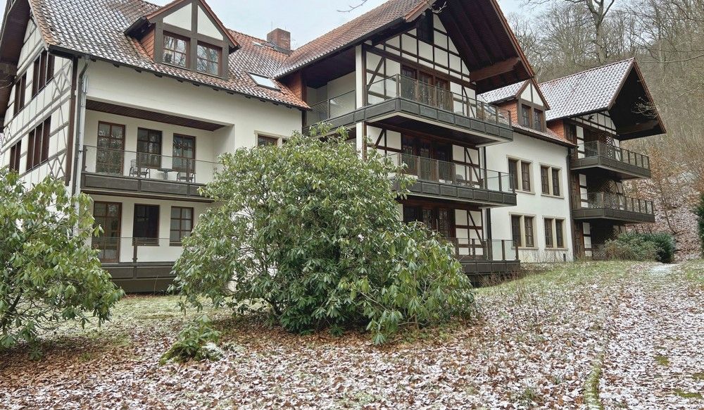 Waldkater (56)