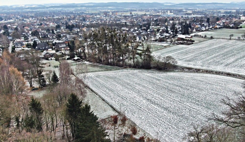 Waldkater (61)
